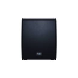 114-qsc-pro-audio-qsc-ls118-24204325_1 (miniatura)