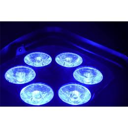 18-algam-lighting-eventpar-par-dmx-a-batteria-18700024_5 (miniatura)