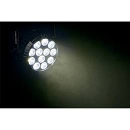 18-algam-lighting-ip-par-1212-hex-ip-par-led-12x12w-ip65-18700166_5 (miniatura)