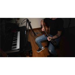 43-quik-lok-a-25-bk-asta-regolabile-broadcast-10-00755_11 (miniatura)