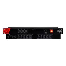 44-radial-engineering-power-1-220-grad8007119_4 (miniatura)