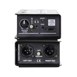44-radial-engineering-radial-bt-pro-v2-grad8001869_1 (miniatura)