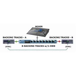 44-radial-engineering-sw8-grad8001682_3 (miniatura)