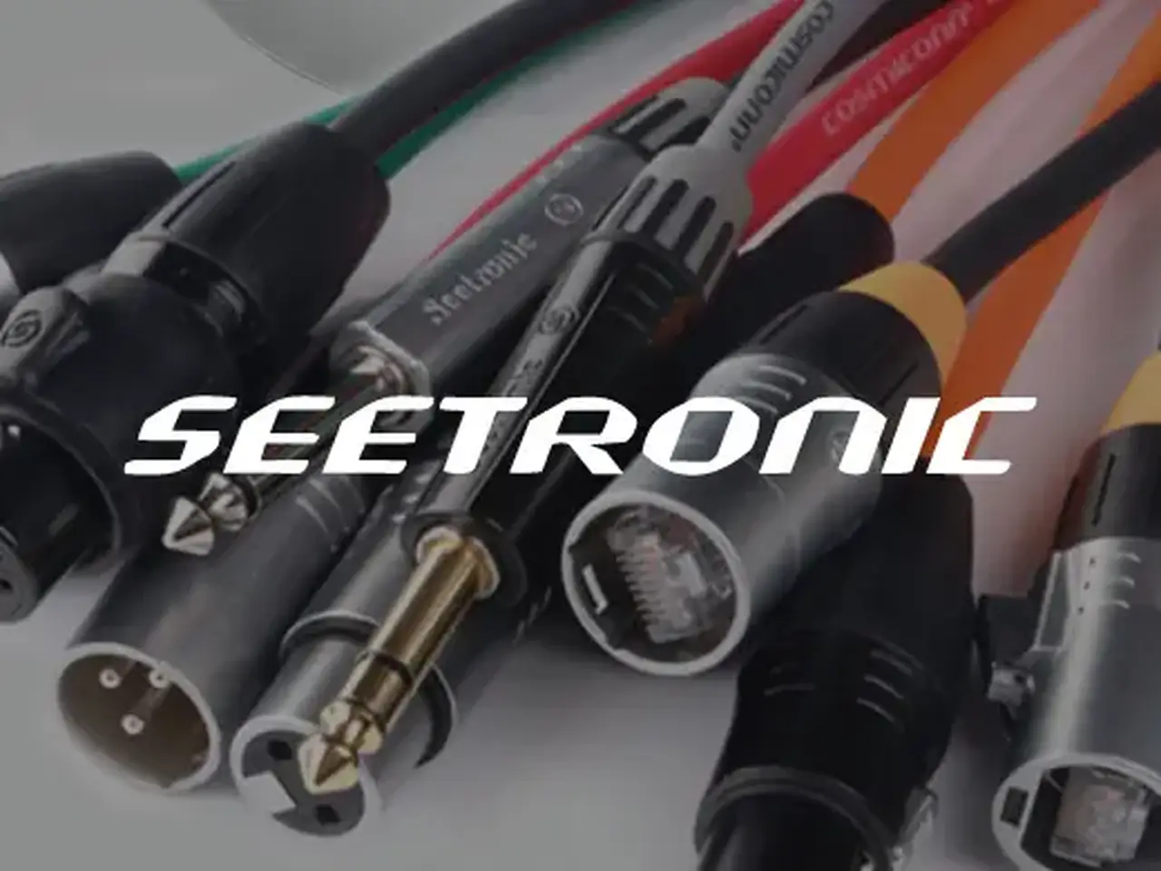 Enterprise Seetronic logo web