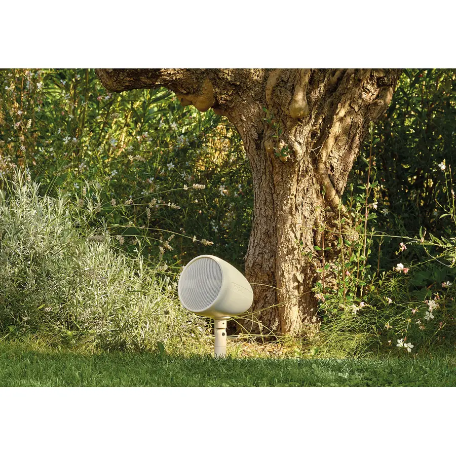 focal-sfc-od-sat-5-light-11000362-5